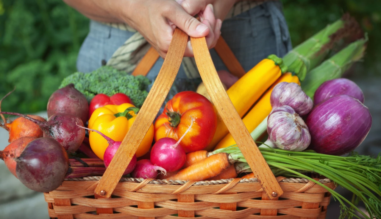 Como fazer uma horta em casa mesmo com pouco espaço