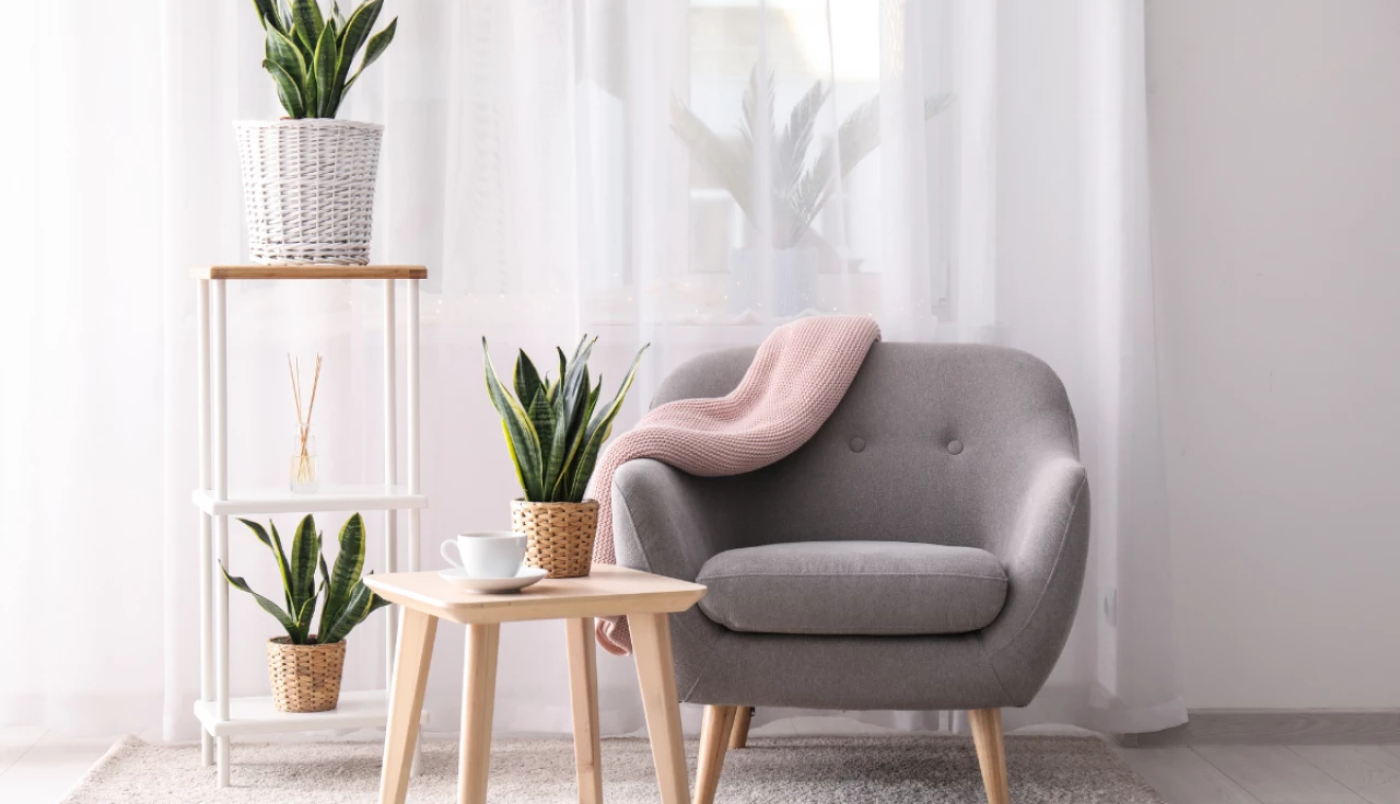 Como fazer decoração com plantas dentro de casa
