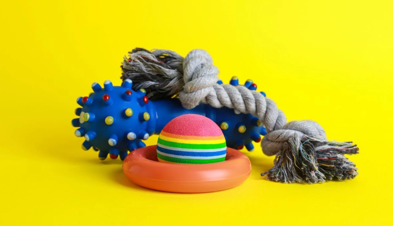 Como escolher o melhor brinquedo para seu pet