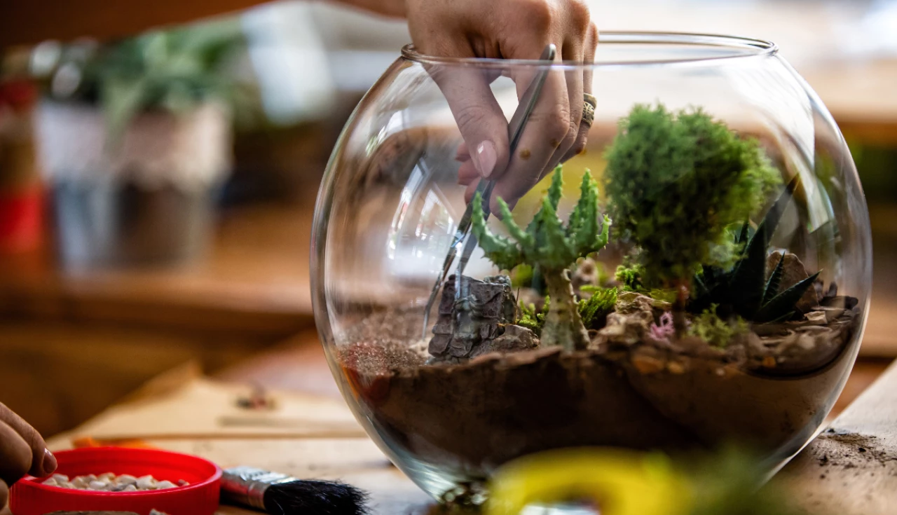 Como montar um terrário para iniciantes